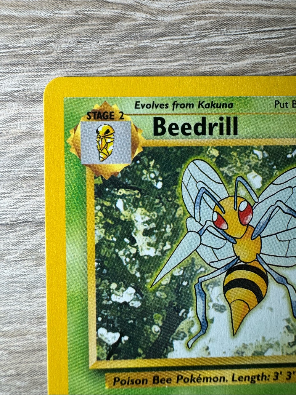 Beedrill #17/Pokemon Base Set - Picture 2 of 15